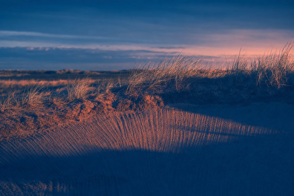 Rand van een bunker op een linksbaan in laag strijklicht met helmgras